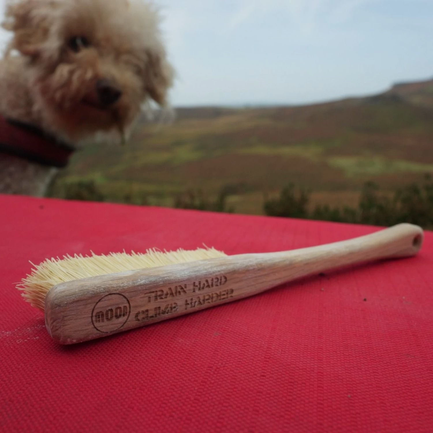 Moon Voyager Pro Brush - Image 9