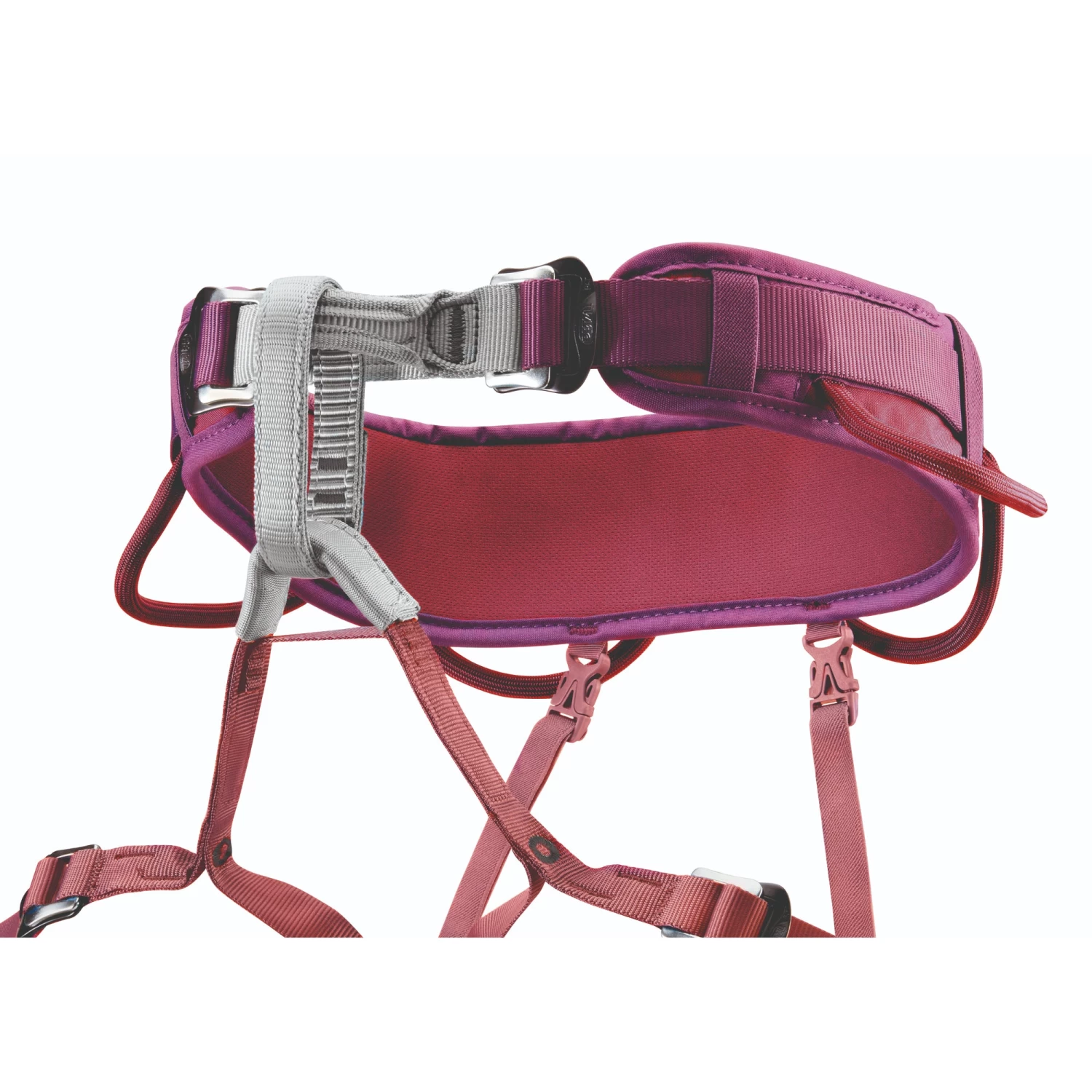 Petzl Corax Harness - Image 10