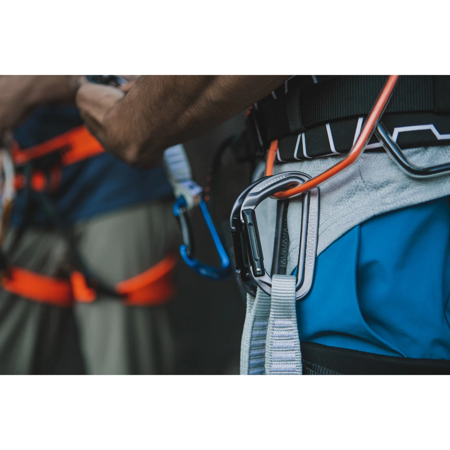 Mammut Workhorse Keylock Quickdraw - Image 5