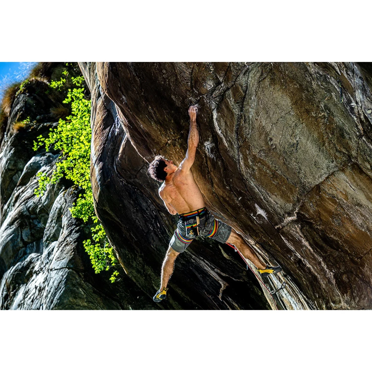 Grivel Trend Harness - Rainbow - Image 4